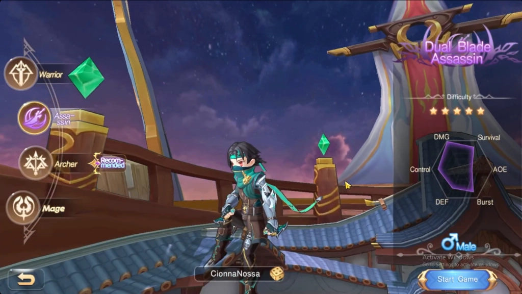 Dual Blade Assassin Dual Blade Assassin