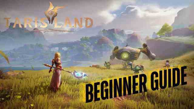 Tarisland Beginner Guide - The Epic Adventure with Best Tips