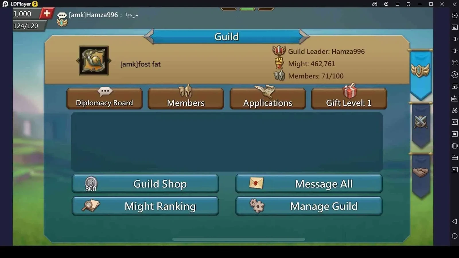 Learn to Use Guild Coins Efficiently