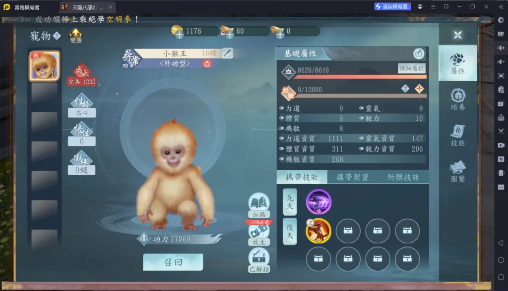 天龍八部2血戰江湖寵物