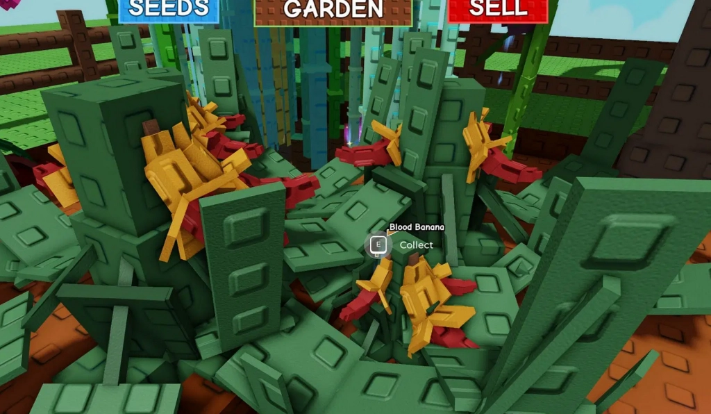 Blood Banana Grow a Garden