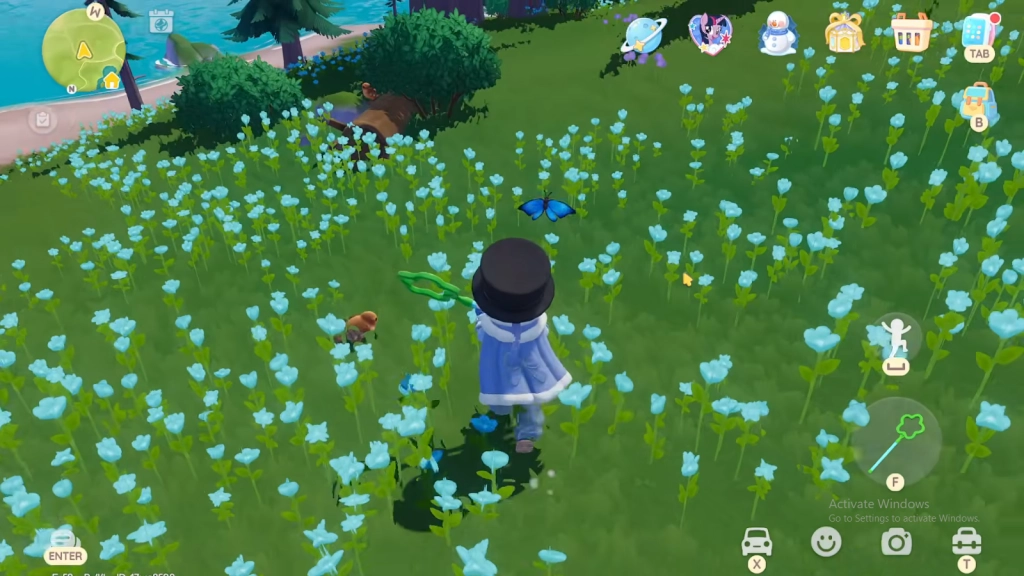 What to Do With Caught Insects What to Do With Caught Insects