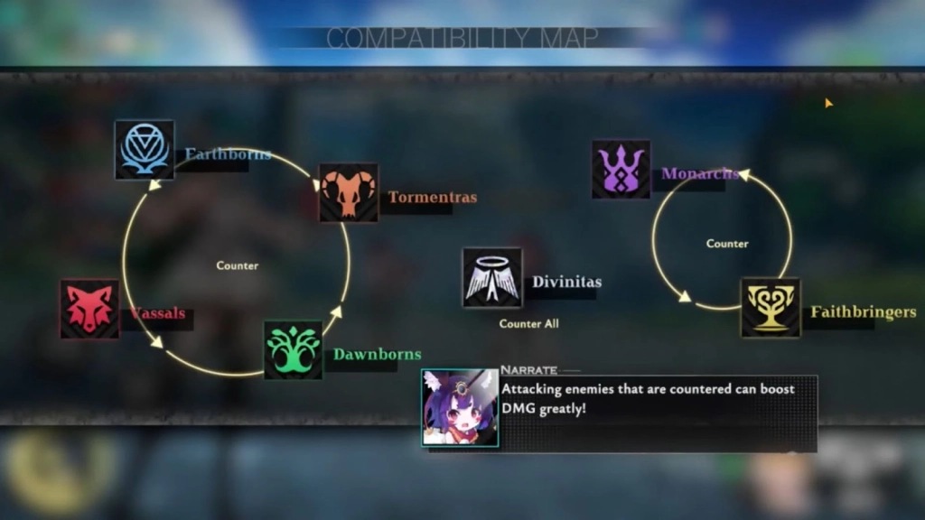 What to Consider When Choosing the Equipment