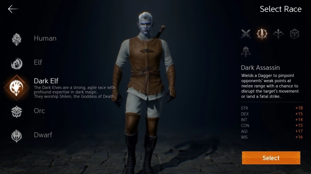 Choose Your Race and Class