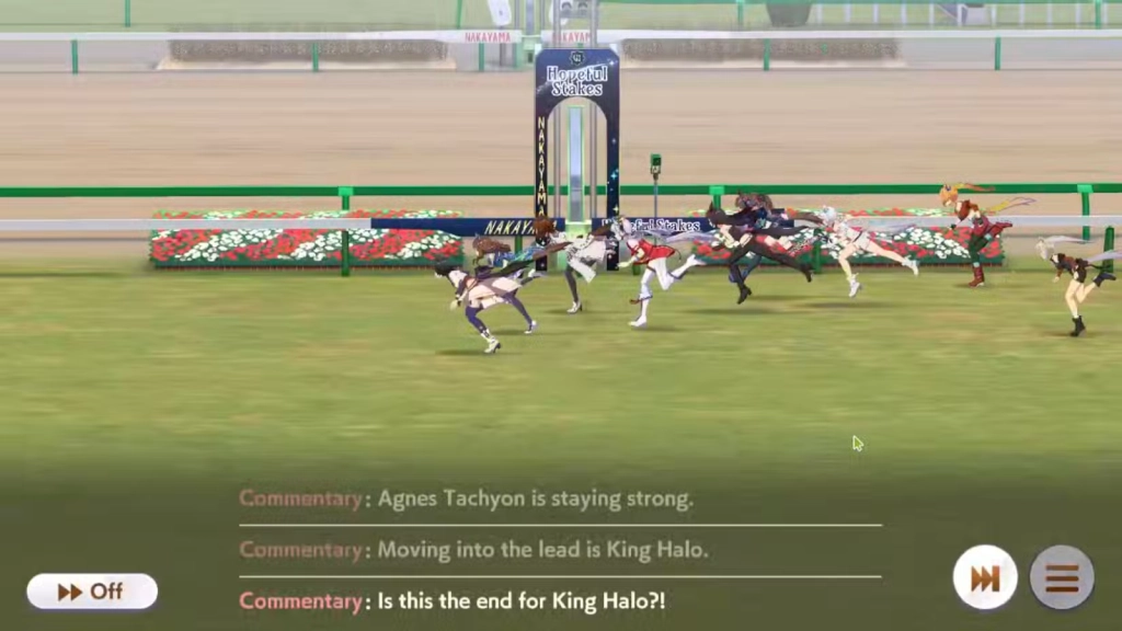 Preferred Races and Strategies