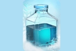 Freeze