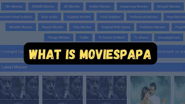 What is Moviespapa: Download Bollywood, South, and Punjabi Movies and Series - Top Alternatives to Use in 2025