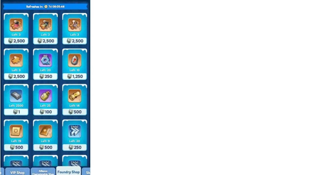 General Tips for Whiteout Survival Gen 10 Heroes