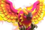 Phoenix Phoenix