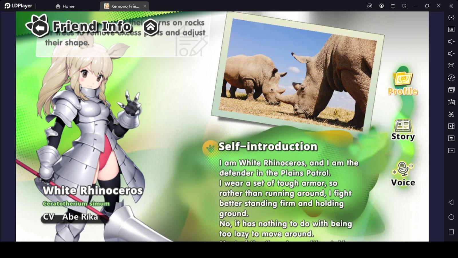 White Rhinoceros