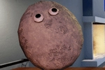 Pet Stone