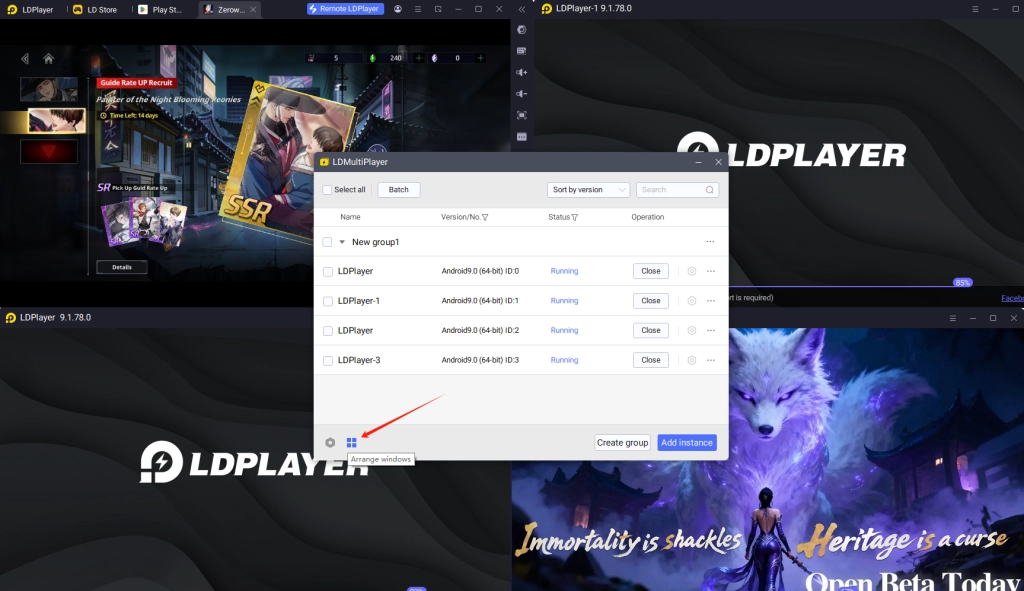 LDMultiPlayer LDMultiPlayer