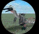 All Creatures in Creatures of Sonaria – Creatures Tier List March 2025