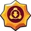 SLOWING SHIELD