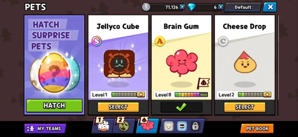 Choose Your Pet Partner