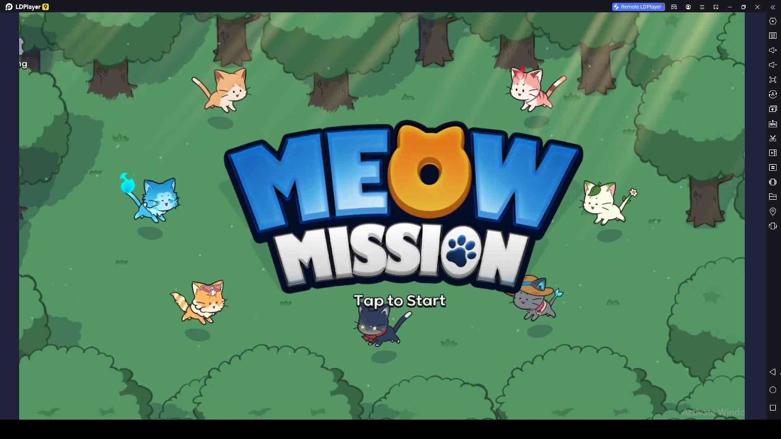 Meow Mission Codes