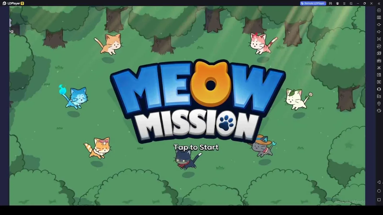 Meow Mission Codes