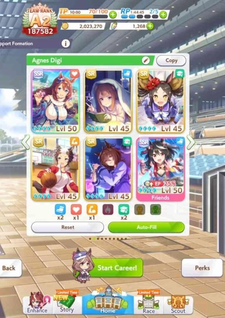 Best Support Card Decks for the New Scenario