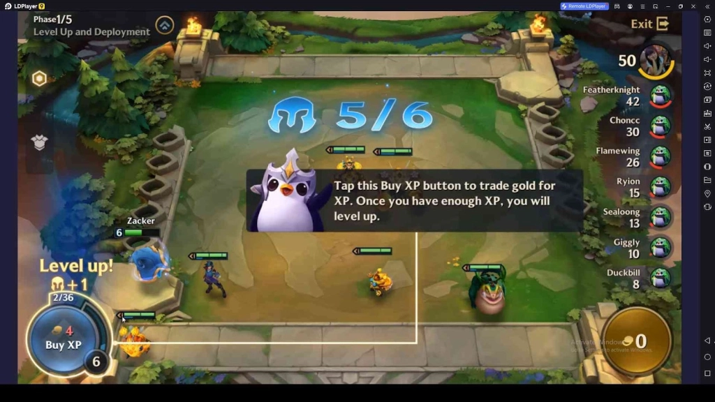 Buy XP and Increase Your Team Size