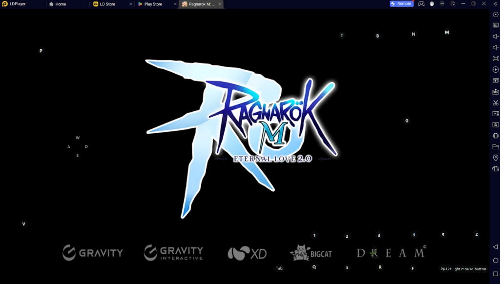 How to Download and Play Ragnarok M: Eternal Love on PC -Beginners Guide