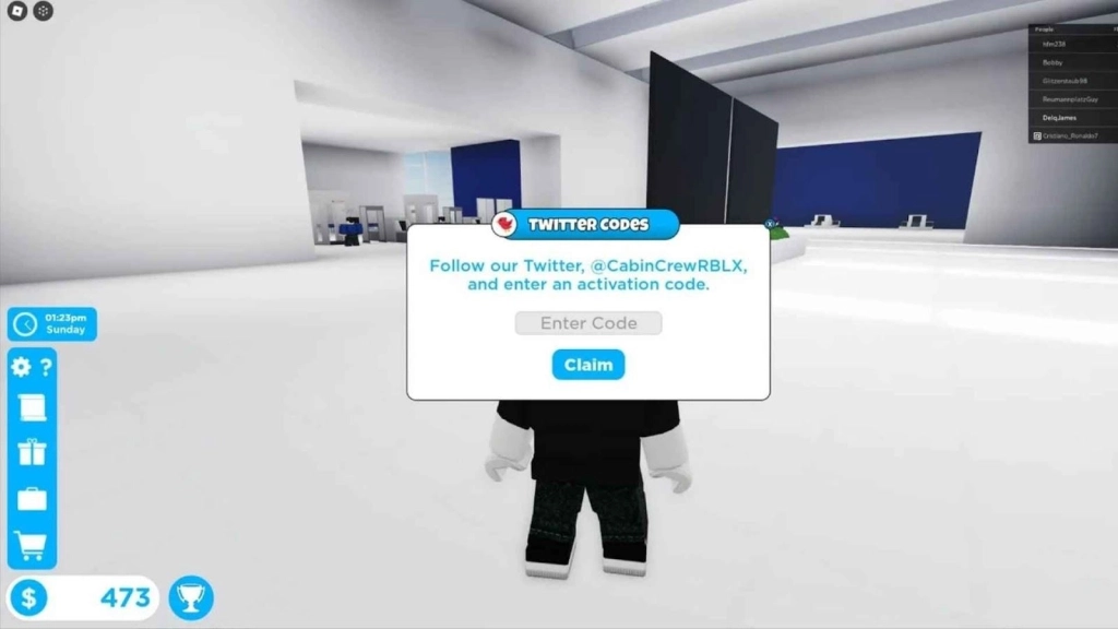 Redeeming Steps for Codes in Cabin Crew Simulator