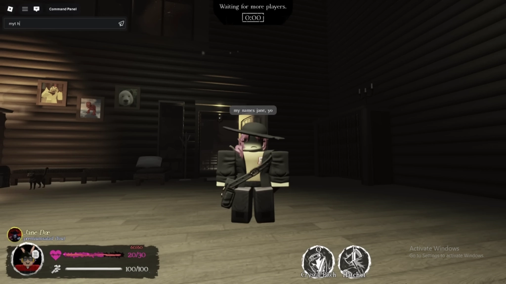 Jane Doe Stats and Core Passives