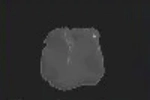 All Minerals in Prospecting Roblox
