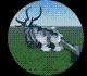 All Creatures in Creatures of Sonaria – Creatures Tier List March 2025