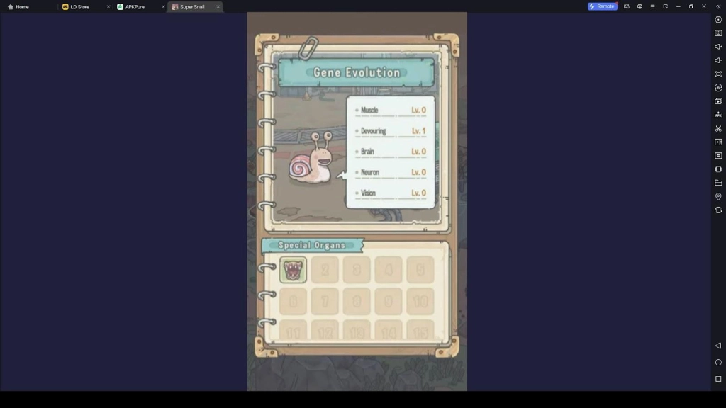 Gene Evolution Gene Evolution