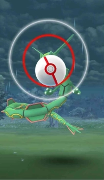 Premier Ball