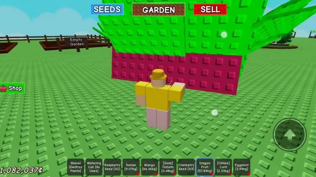 How to Grow Dragon Fruit