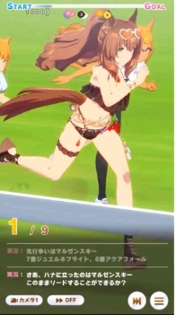 Training and Race Tips 