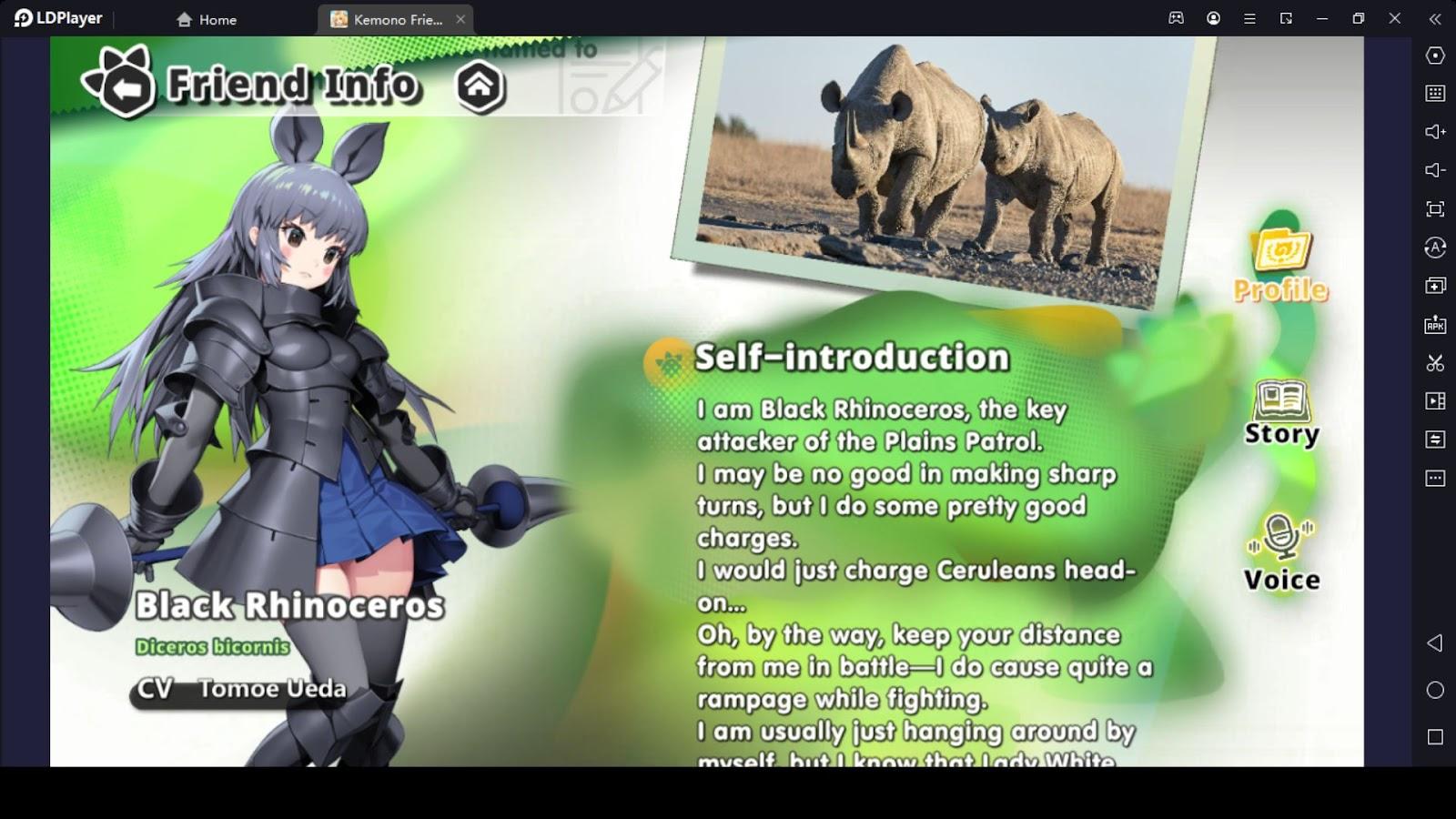 Black Rhinoceros