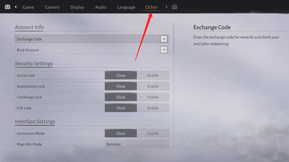 Select the "Other" tab