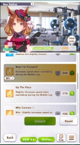 North Flight Skills North Flight Skills