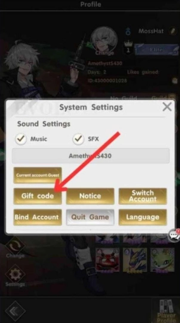Redeeming Process for the Codes