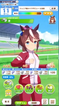 The Best Training Strategy