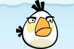 Angry Birds Characters