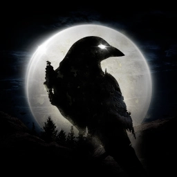 NIGHT CROWS online