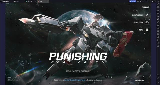 Actualización de Punishing: Gray Raven