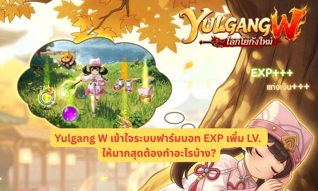 Yulgang W เข้าใจระบบฟาร์มบอท EXP เพิ่ม LV. ให้มากสุดต้องทำอะไรบ้าง?