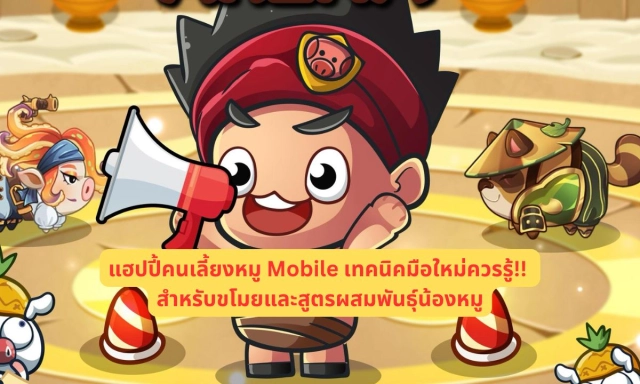 แฮปปี้คนเลี้ยงหมู Mobile เทคนิคมือใหม่ควรรู้!! สำหรับขโมยและสูตรผสมพันธุ์น้องหมู