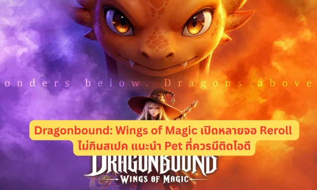Dragonbound: Wings of Magic เปิดหลายจอ Reroll ไม่กินสเปค แนะนำ Pet ที่ควรมีติดไอดี