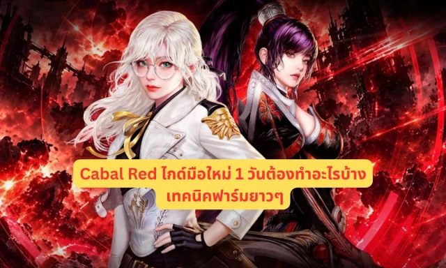 Cabal Red ไกด์มือใหม่ 1 วันต้องทำอะไรบ้าง เทคนิคฟาร์มยาวๆ