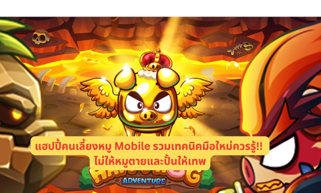 แฮปปี้คนเลี้ยงหมู Mobile รวมเทคนิคมือใหม่ควรรู้!! ไม่ให้หมูตายและปั้นให้เทพ