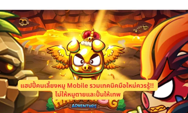 แฮปปี้คนเลี้ยงหมู Mobile รวมเทคนิคมือใหม่ควรรู้!! ไม่ให้หมูตายและปั้นให้เทพ